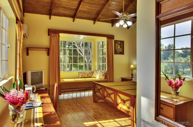 Midas Belize
