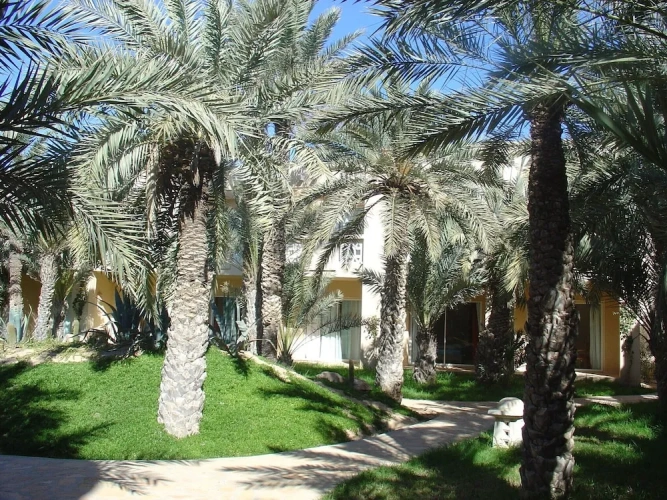 1 Bedroom Economy Double room with garden view