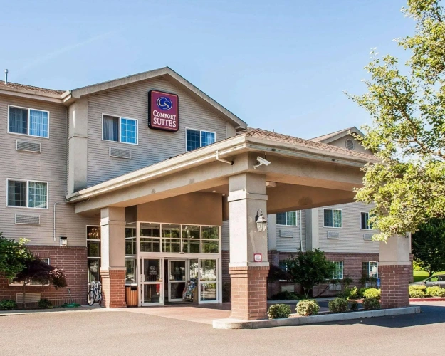 1 Bedroom Single Suite