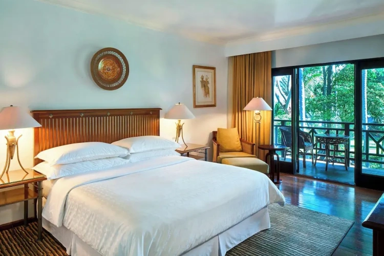 Deluxe Double room with balcony and with garden view