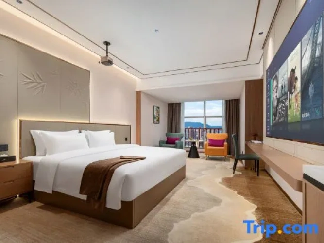 Business Double room with city view