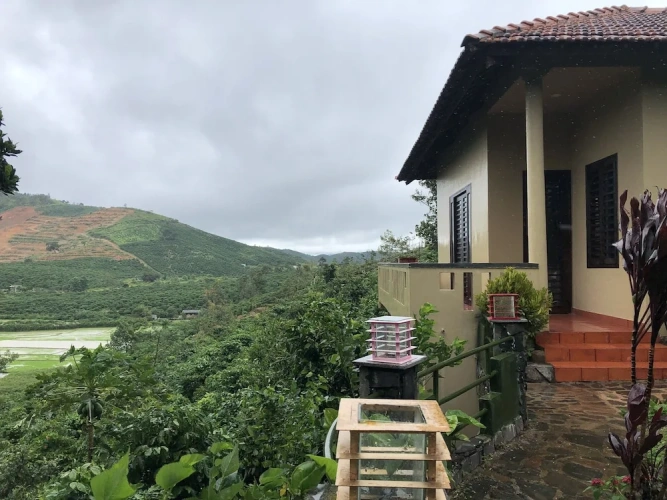 Bungalow