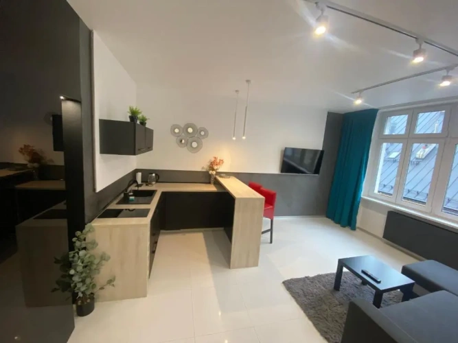 1 Bedroom Apartment