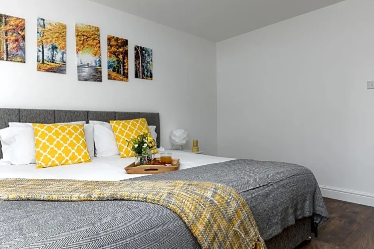 1 Bedroom Apartment