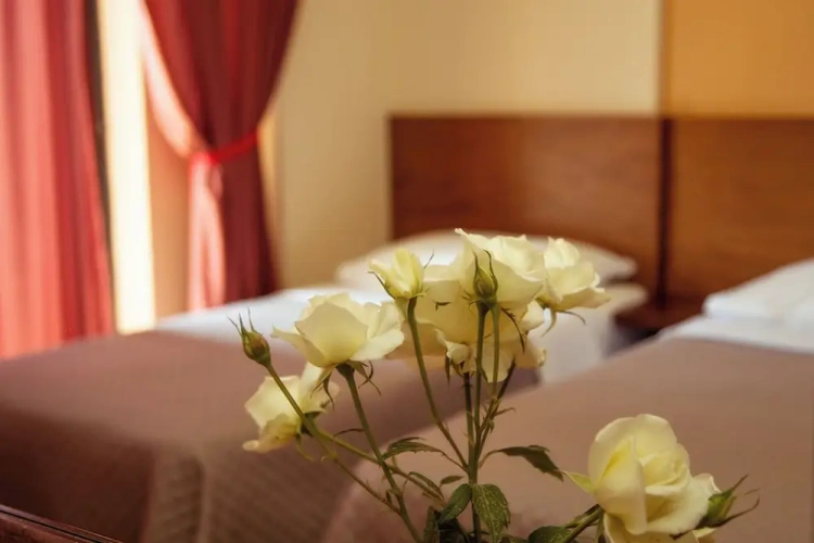Standard Twin room with balcony and with view