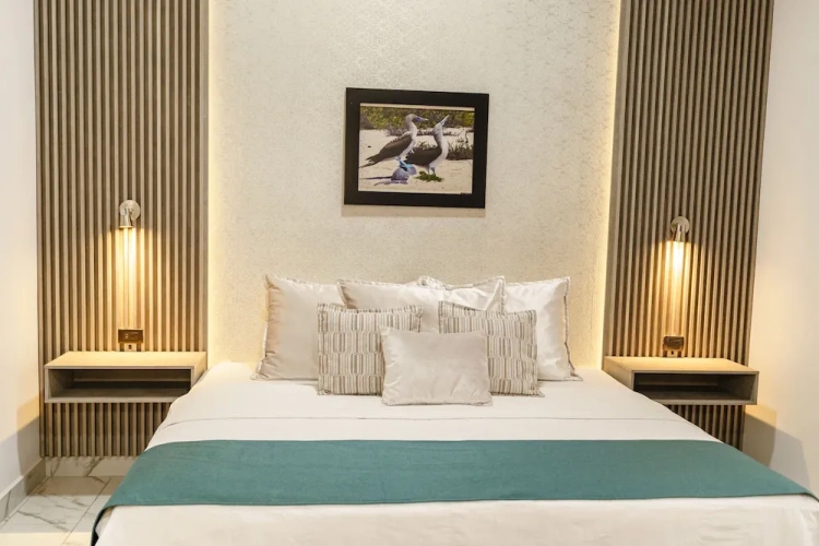 1 Bedroom Suite