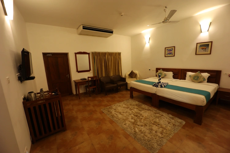 Deluxe Double room