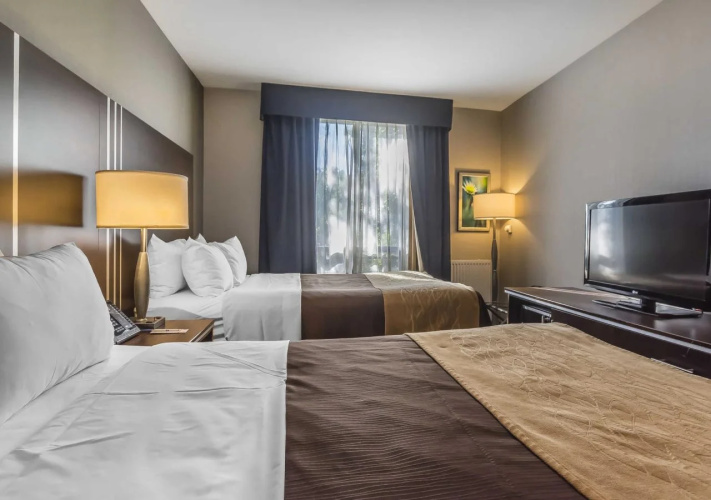 Comfort Inn Toronto City Centre