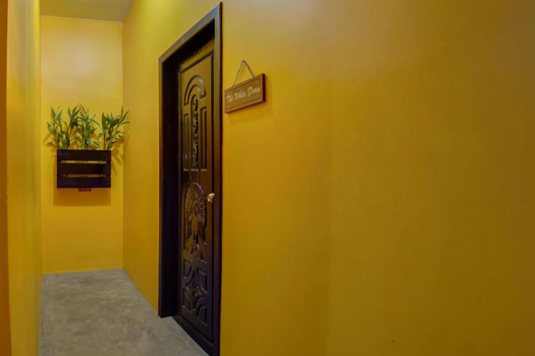 The Luxury Concept Hostel