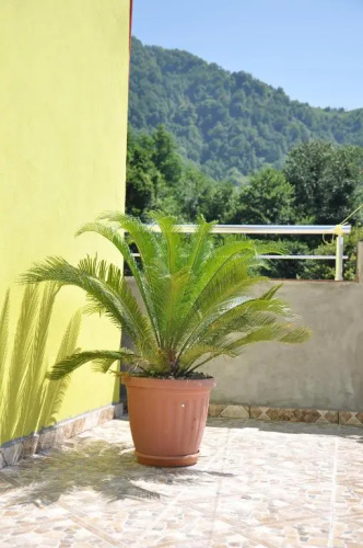 Akhmed Guest House