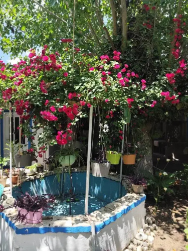 Hanci Pansi̇yon