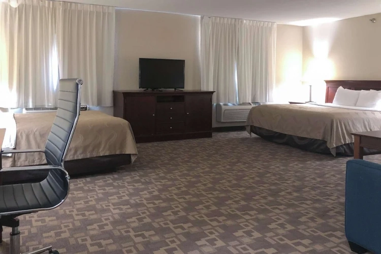 Suite