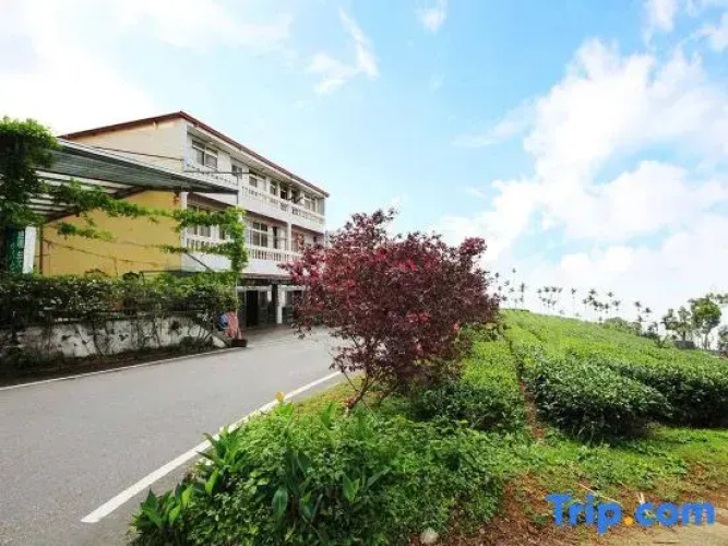 Ruitai Tea B&B