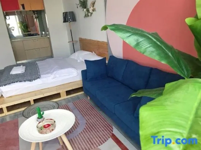 1 Bedroom Suite