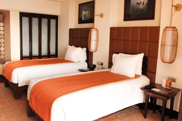 Classic Twin room with city view