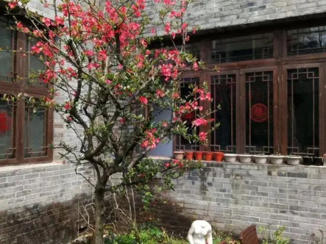 Snow & Flower Villa