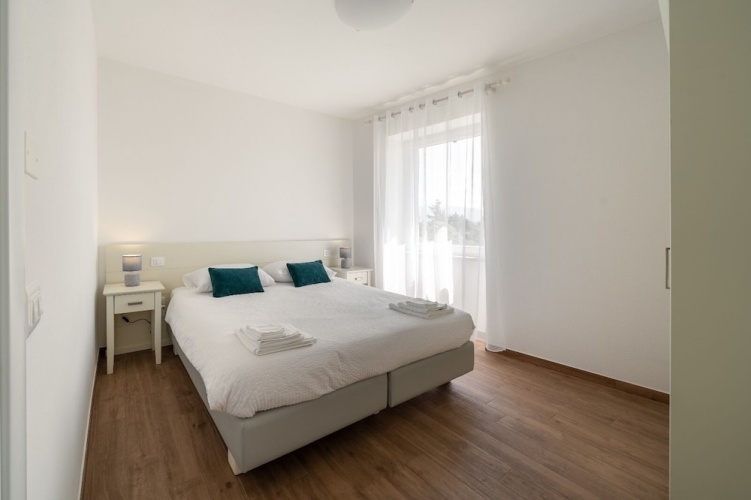 Luxury Apartment