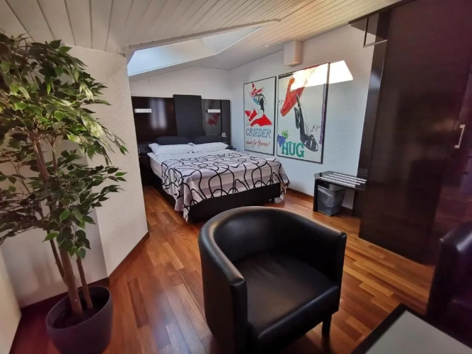 Standard Double room with balcony and with lake view