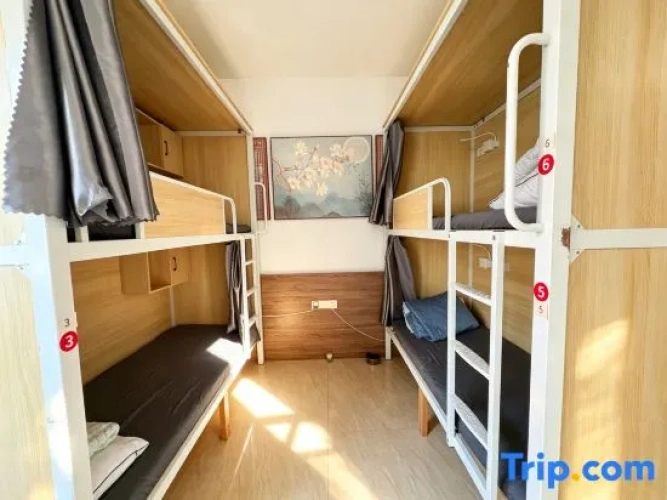 Bed in Dorm