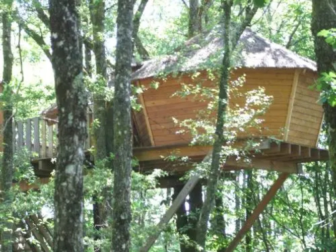 Les Cabanes Silvae