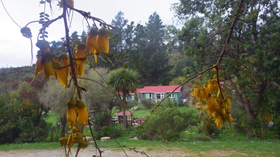 Chalet with balcony and with view