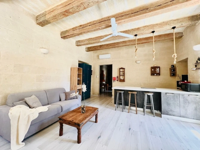 Luxury Apartment