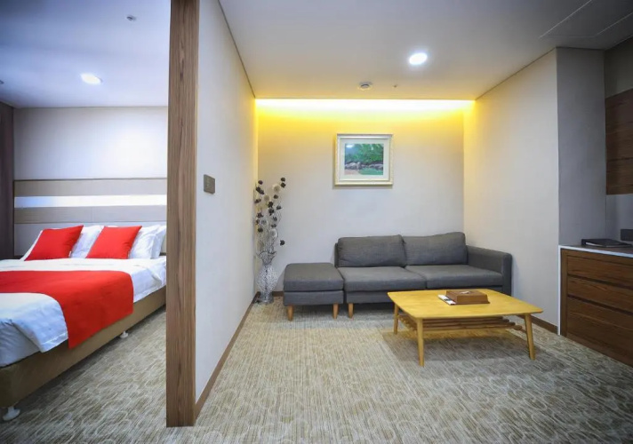 THE RECENZ Dongdaemun Hotel