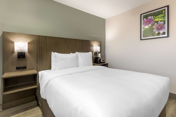 Double room