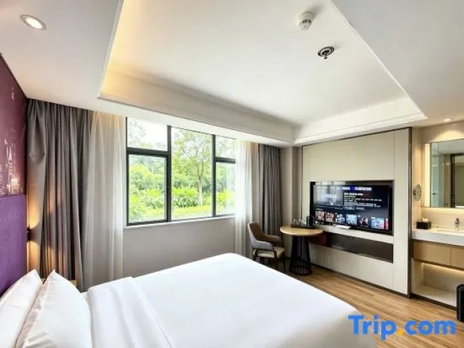 Standard Double room with city view
