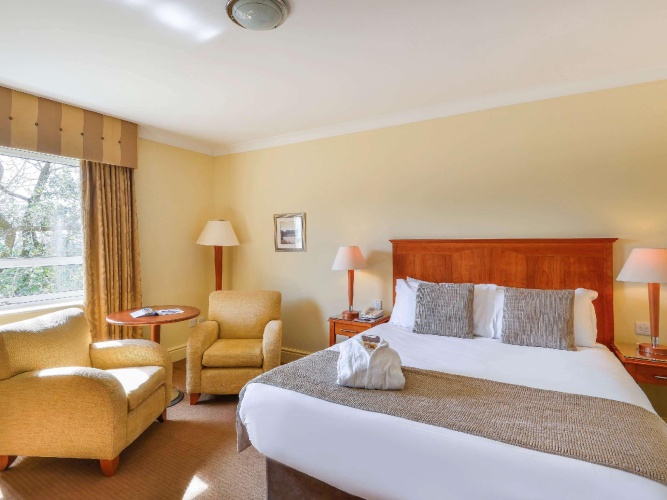 Privilege Double room