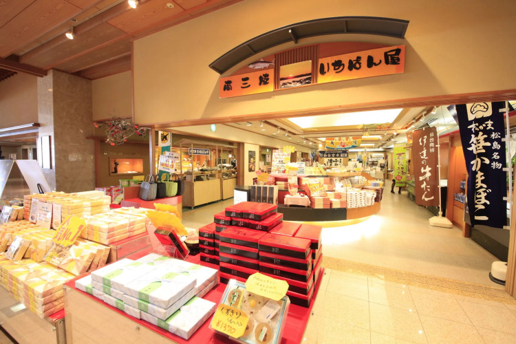 Matsushima IchinoboOver view