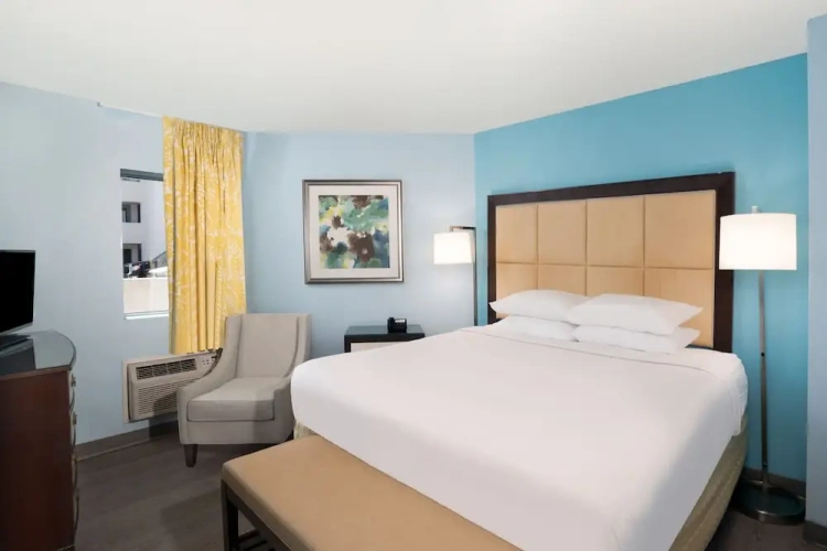 Deluxe Double Suite with view