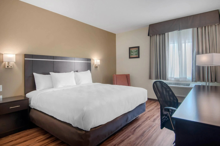 Econo Lodge Inn & Suites Springfield Main Street