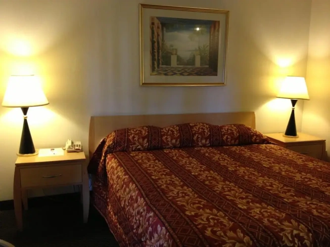Classic Single room