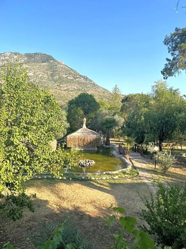Olympos Paradi̇se Hotel