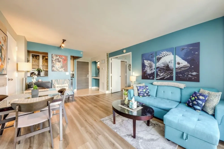 1 Bedroom Apartment