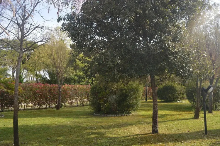 Il Glicine 3