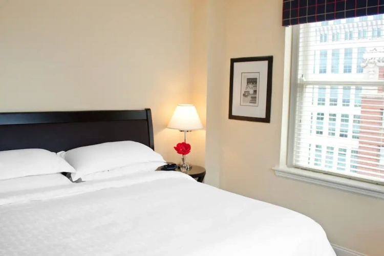 1 Bedroom Junior Suite