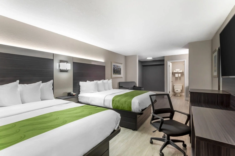 Standard Quadruple room