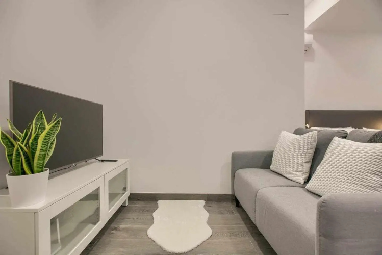 RiNa MADRID apartamento 2