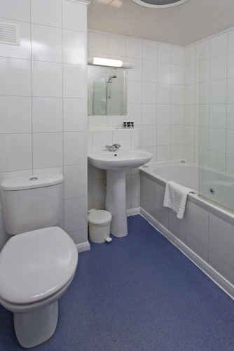 Deluxe Double room with bay view