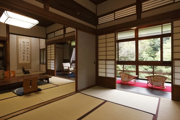 Standard room with river view