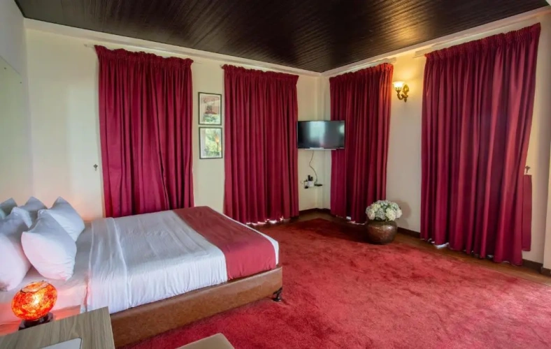 Double Family Suite