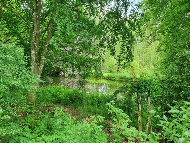 Sur La Rive Vierre