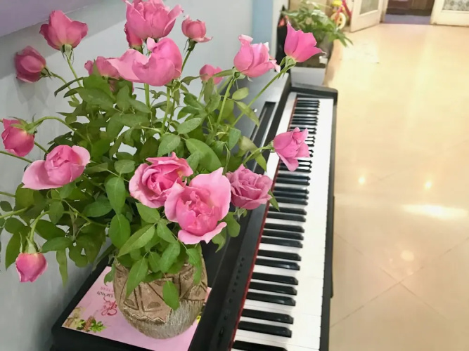 The Rose Home