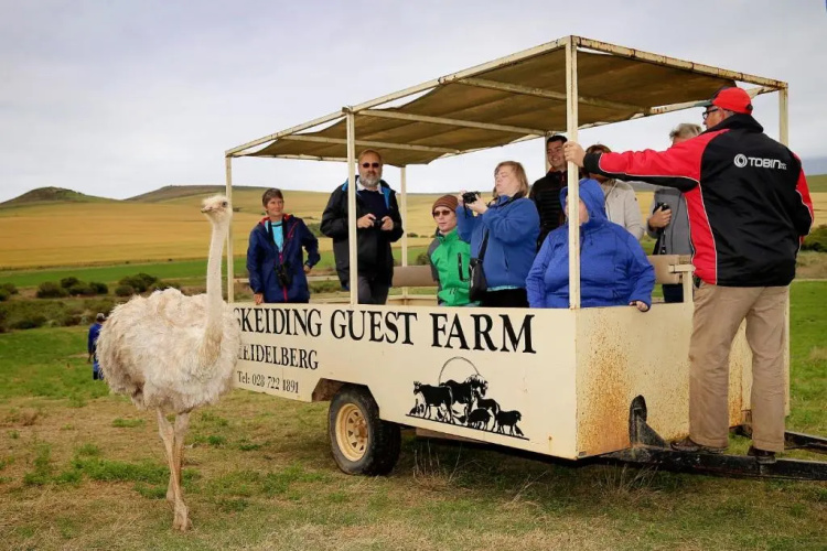 Skeiding Guest Farm