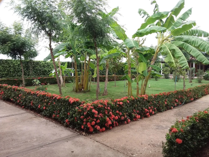 C&H campestre el oasis