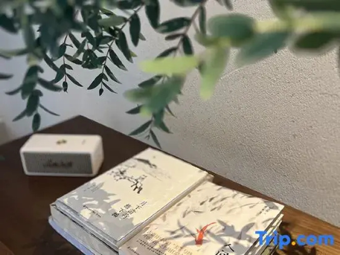 Ruye Qingju Tianyuan Jingpin Meisu