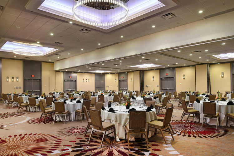Marriott St. Louis Airport photo 22
