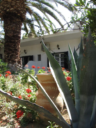 Eden Ios Rooms